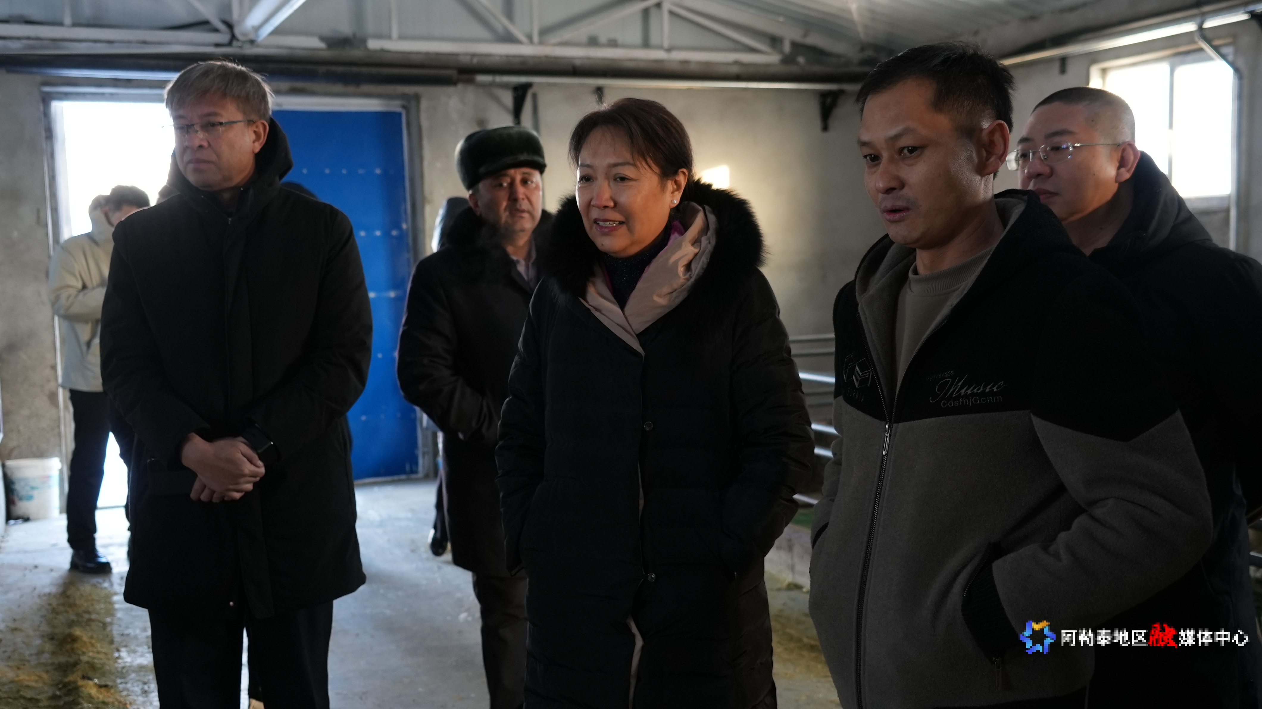 mmexport1735137164393