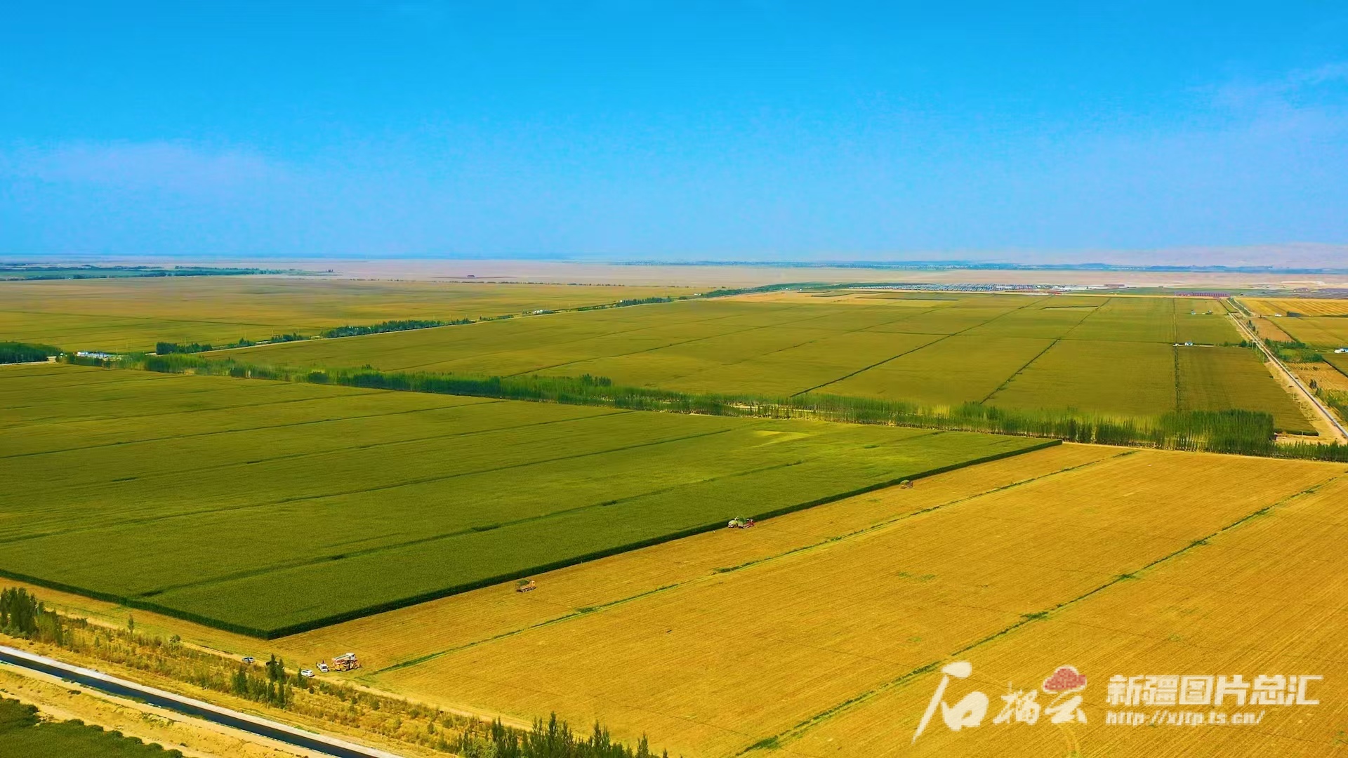 mmexport1736397826055