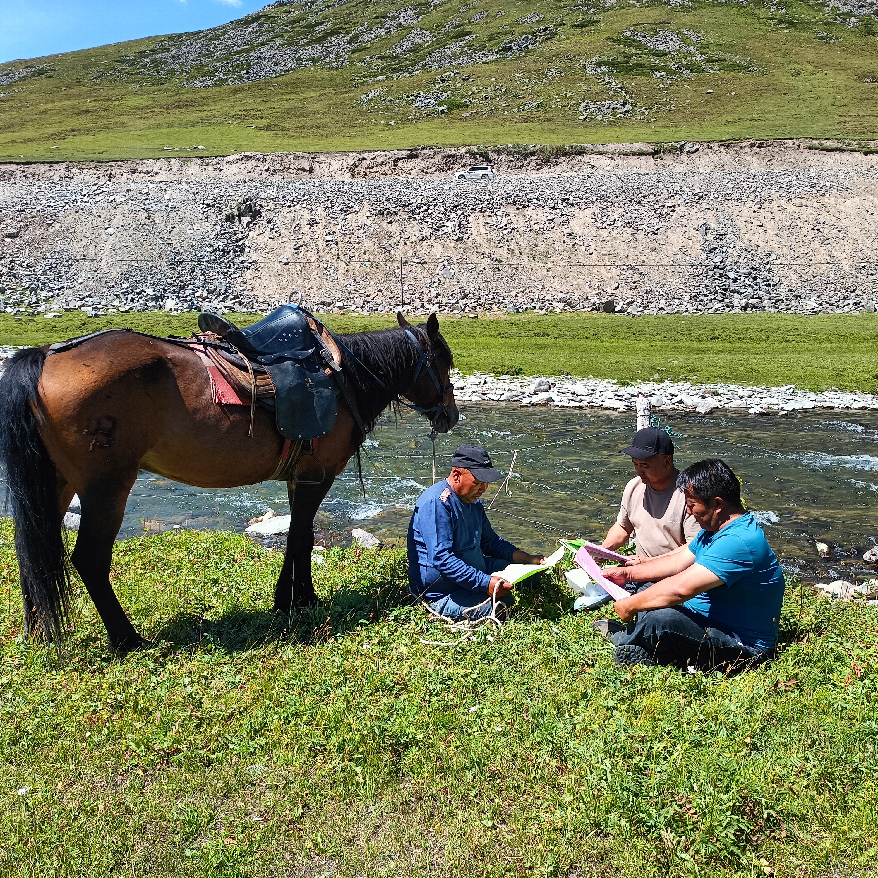 mmexport1741748891576