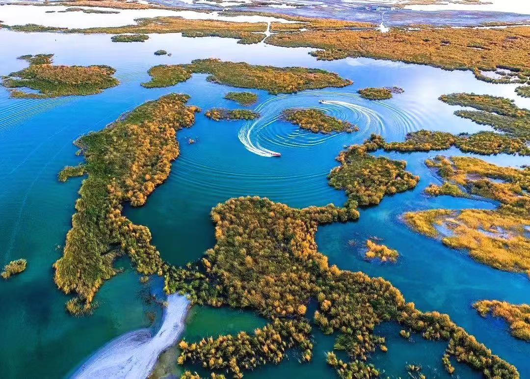 mmexport1741749892744