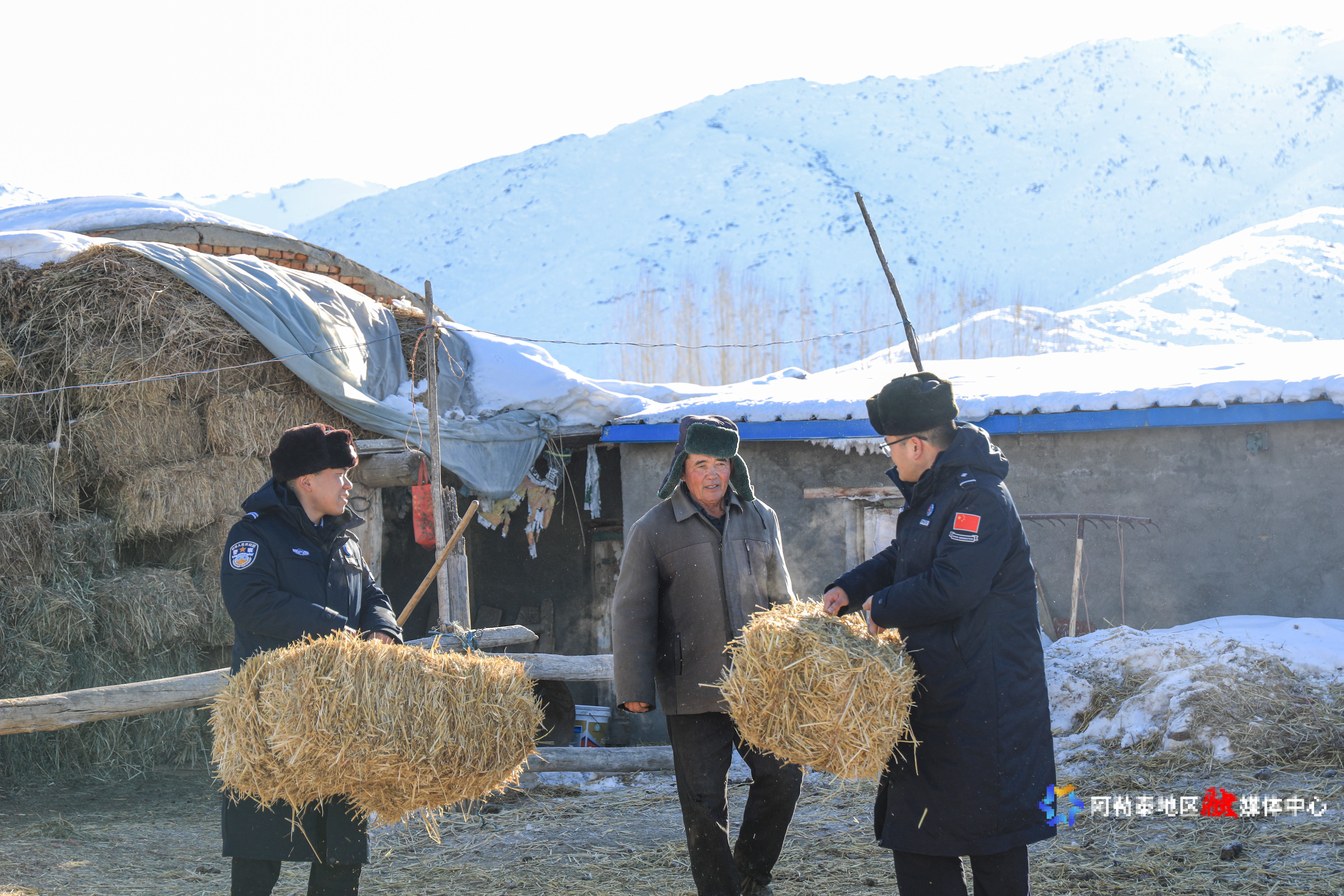 mmexport1741654957116