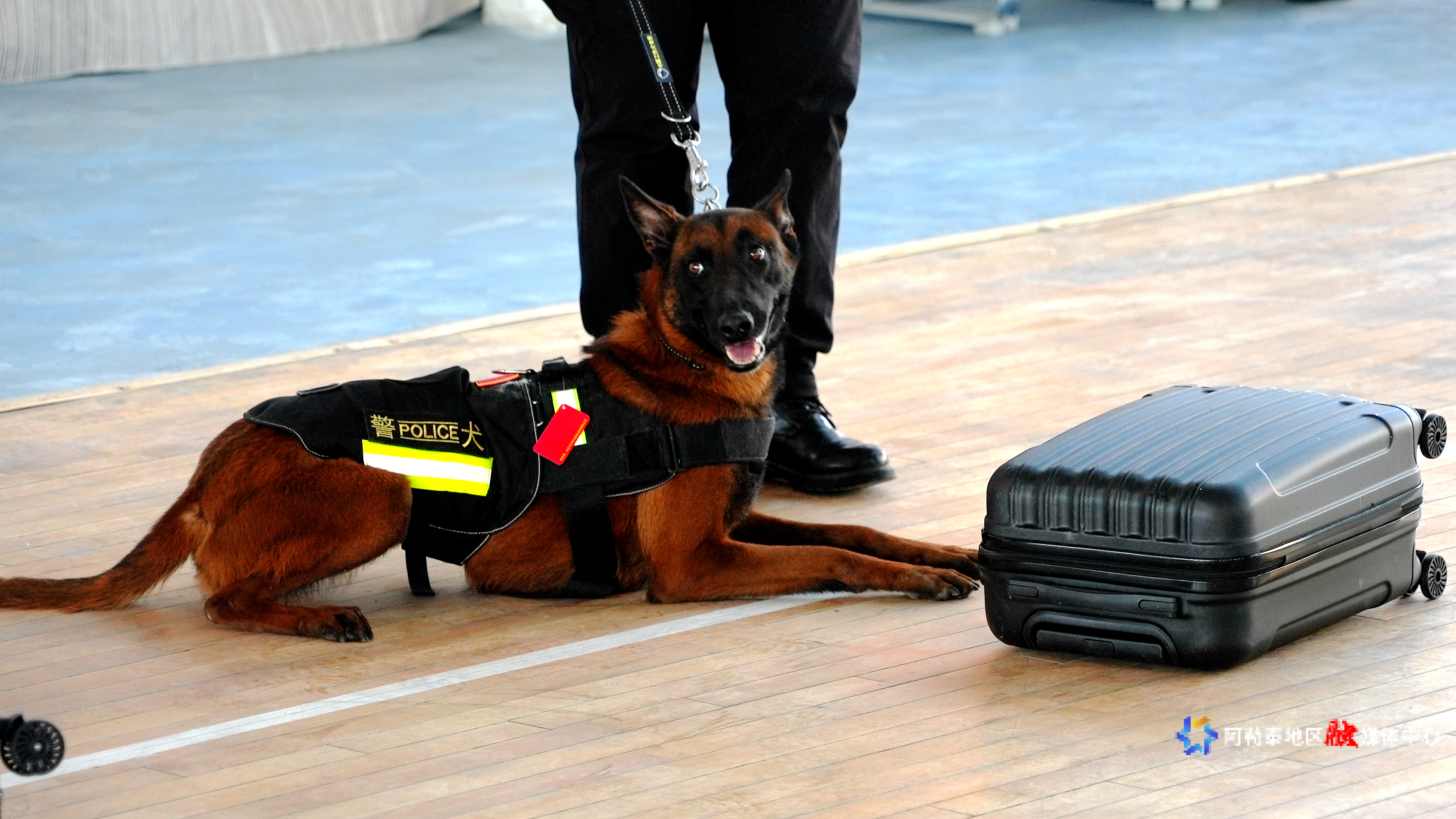 Image_33411279021055