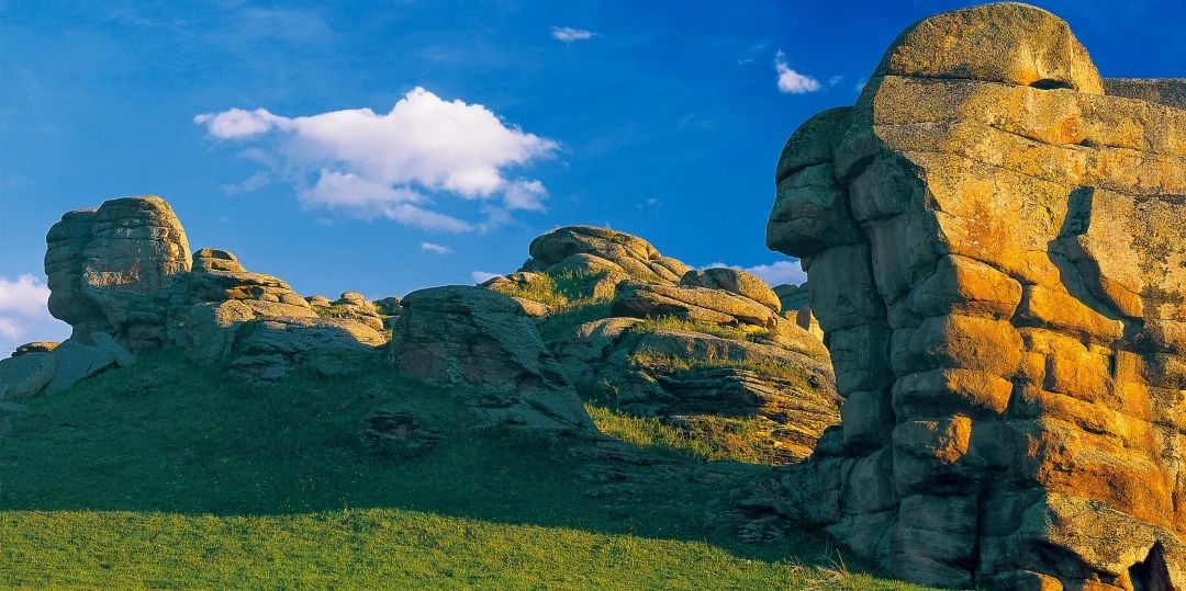 mmexport1742459201765