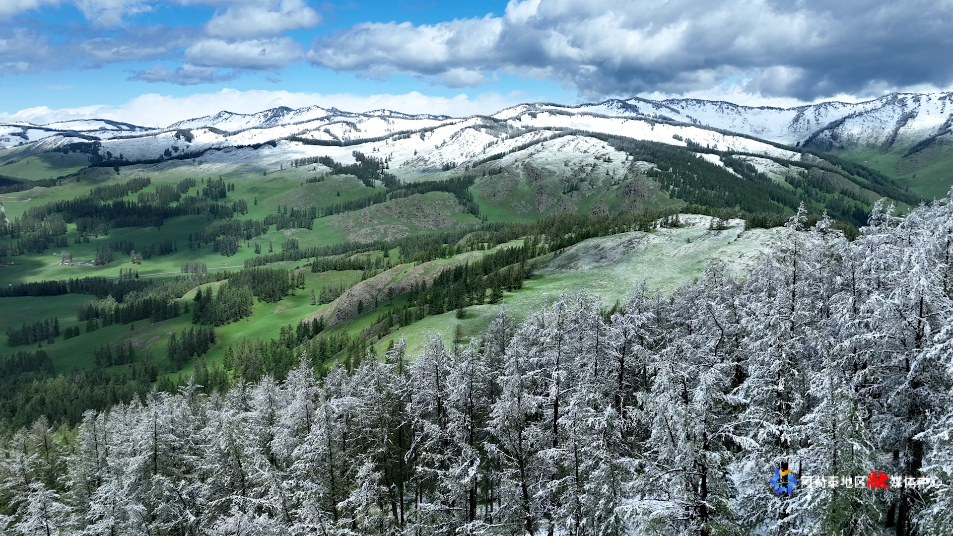 mmexport1748357487845