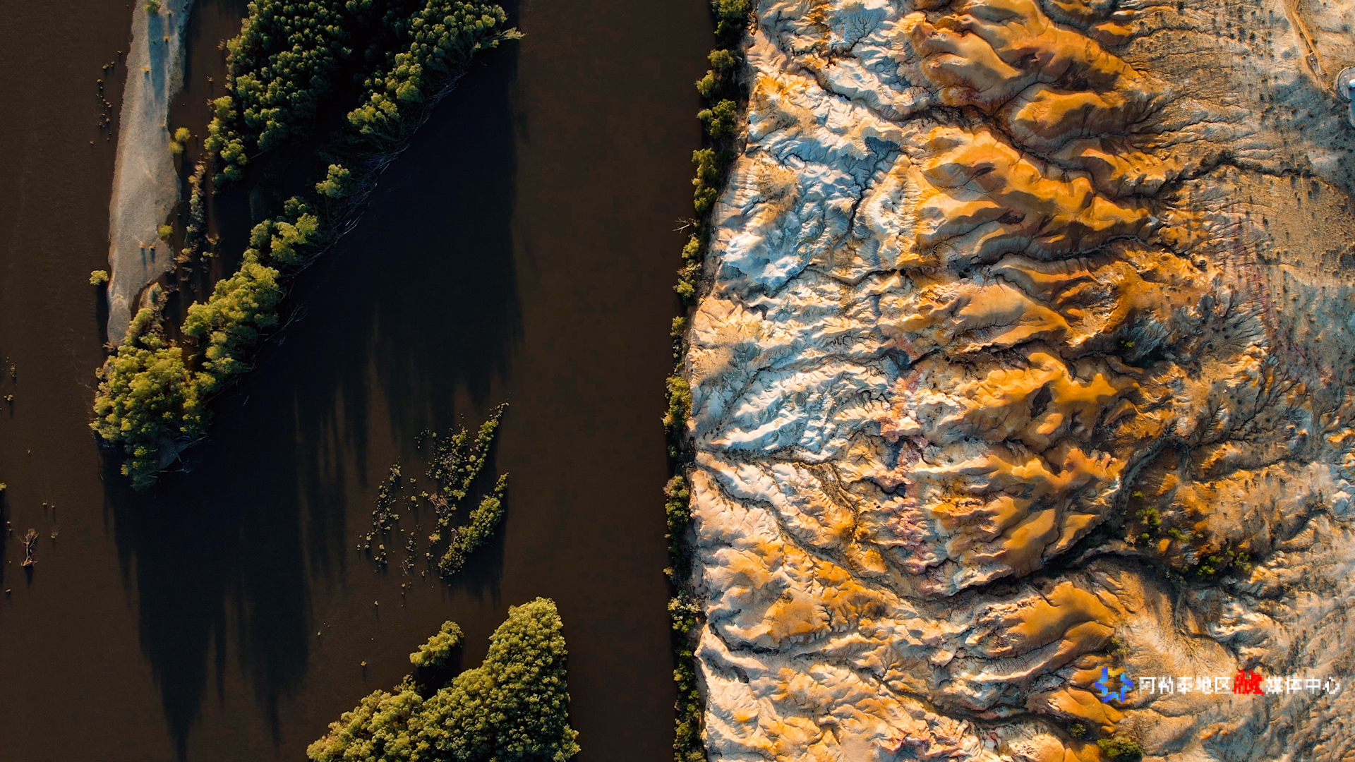 mmexport1748338157466