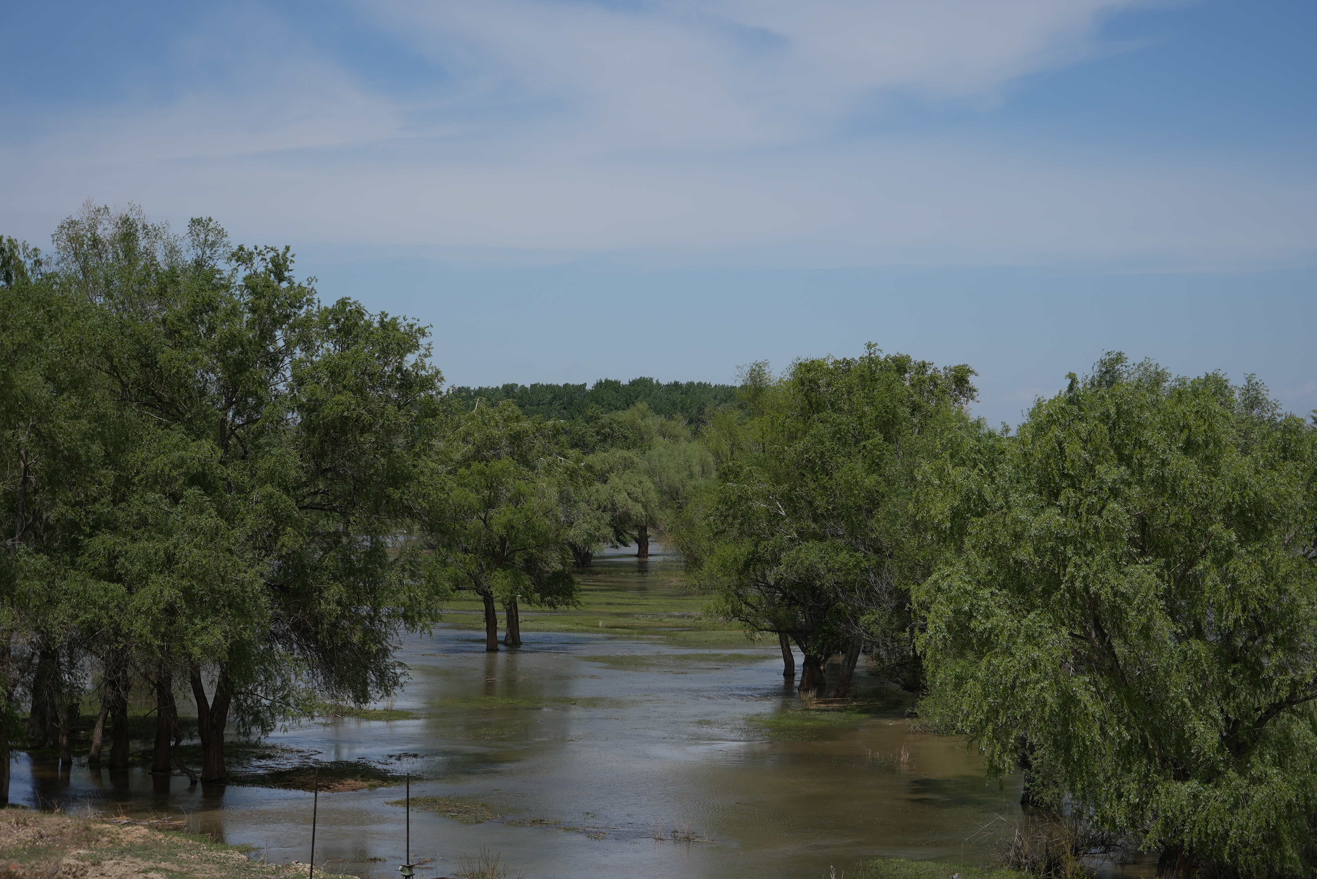 mmexport1749651900430