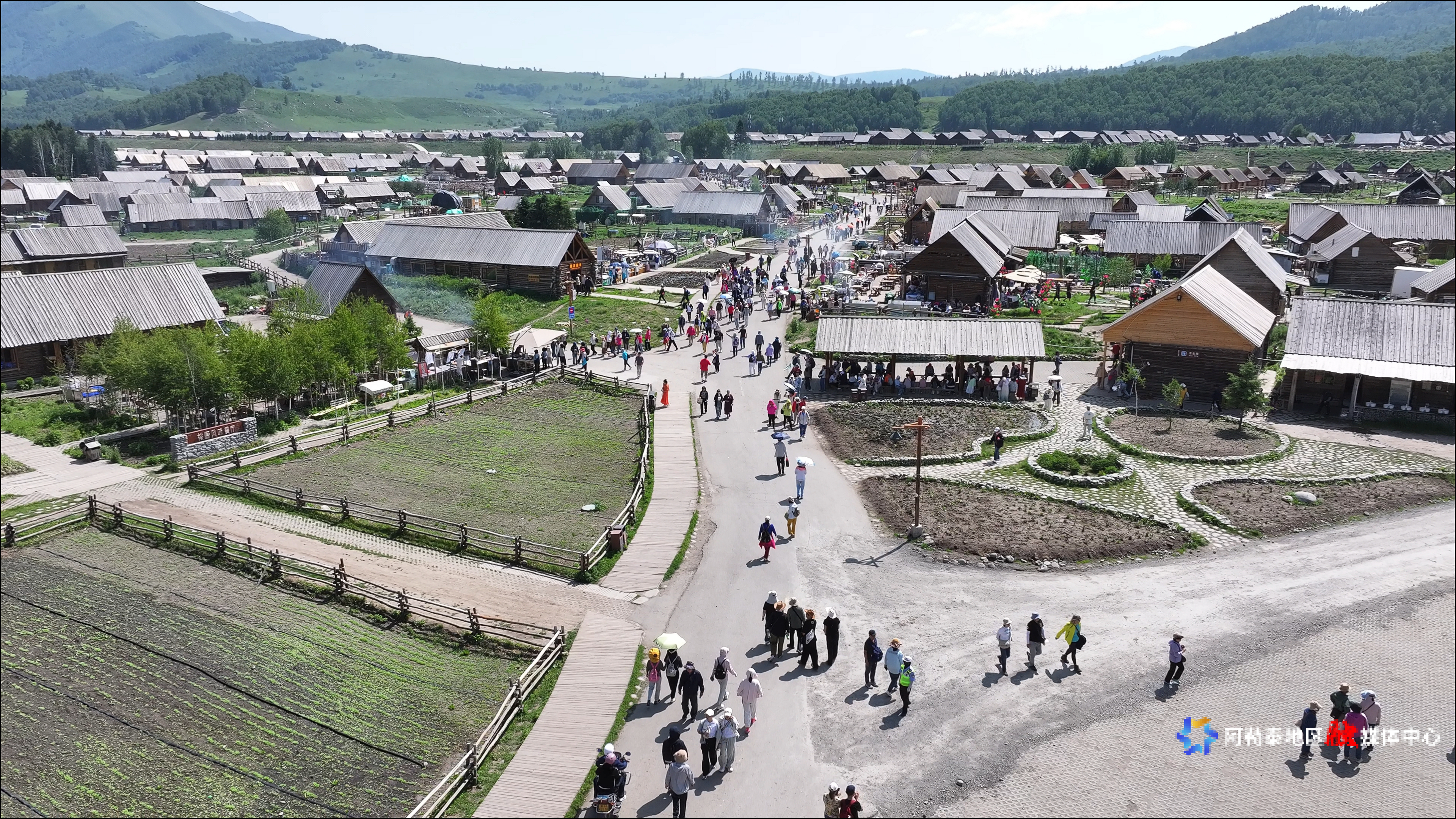 mmexport1750151155002