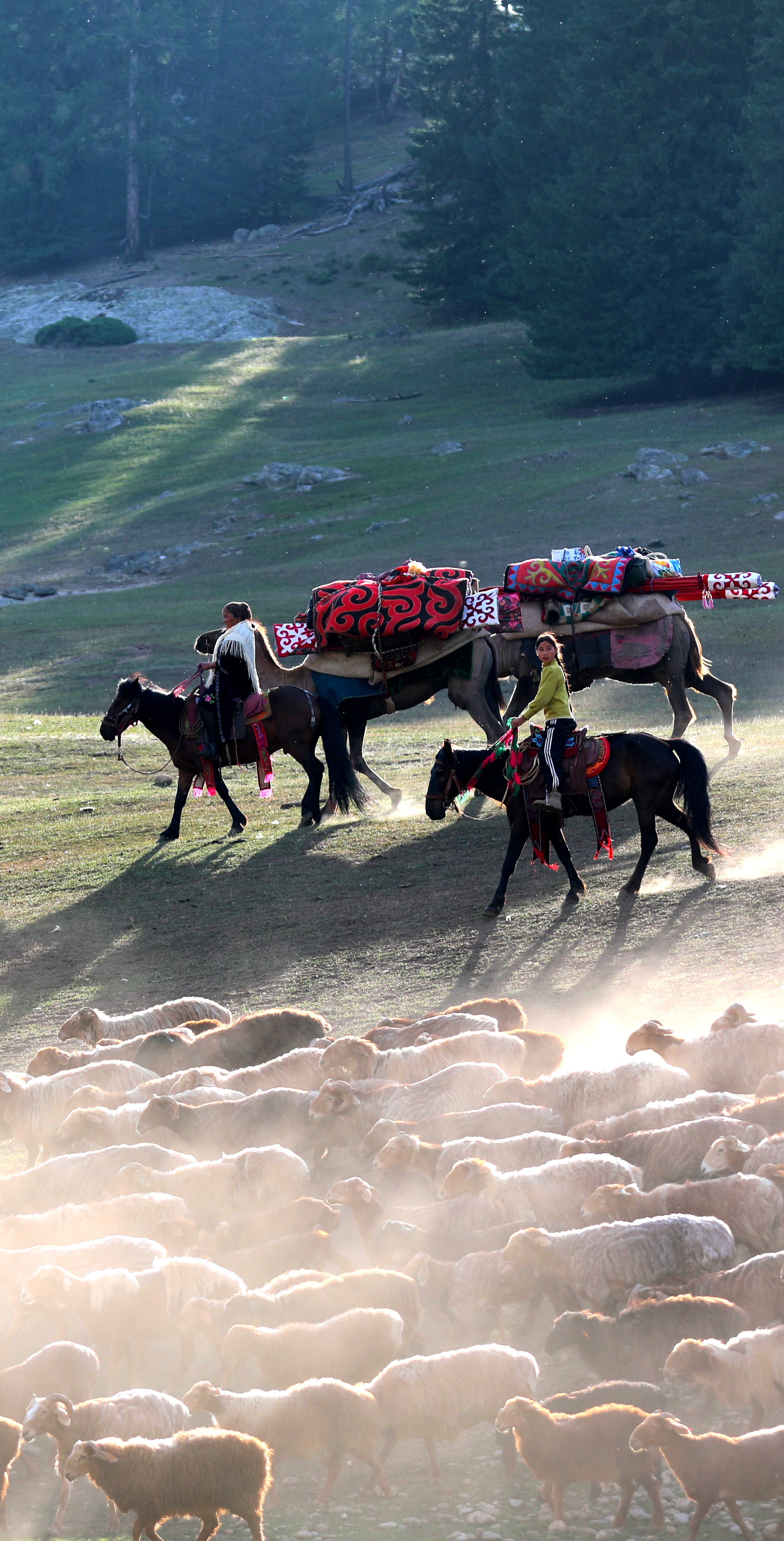 mmexport1758093676548